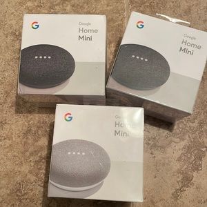 Google Home Mini(s)